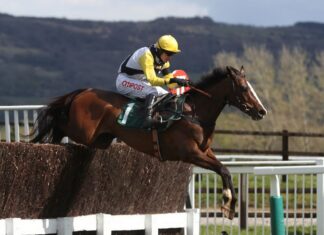 My Wings wins Eider award on historic day for Williams

