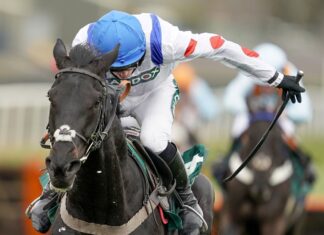 Nichols beamed with racing Monmiral Monmiral won all four of his starts for Paul Nicholls last season