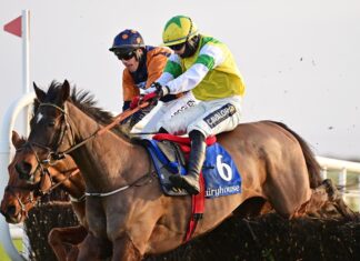 McManus snaps up leading National contender Enjoy D’Allen