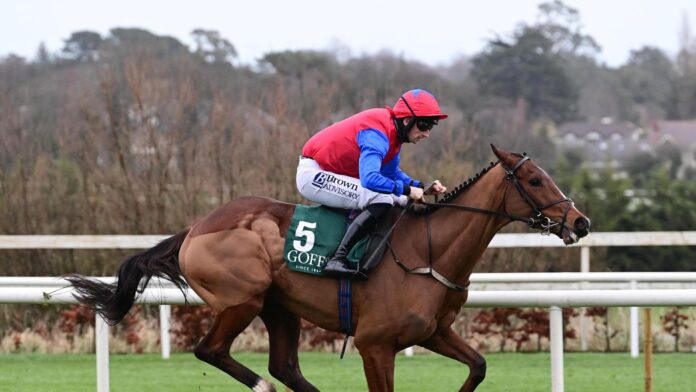 Facile Vega winning in impressive fashion at Leopardstown.