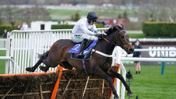 Constitution Hill will give the option to the Punchestown Champion

