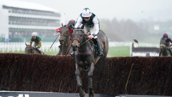 L&#39;Homme Presse jumps all the way from the front to win the Brown Advisory Novices&#39; Chase at Cheltenham