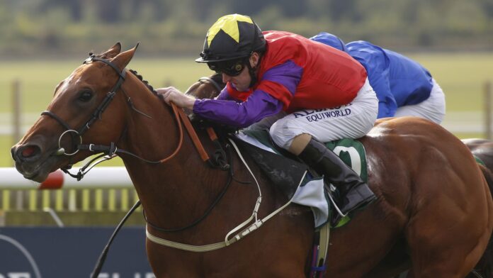 The Last Lion ridden by Joe Fanning