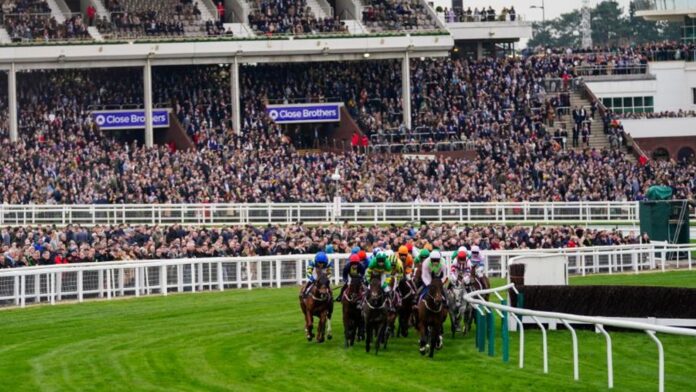 Gaelic Warrior leads the Boodles field away from the stands at the Cheltenham Festival