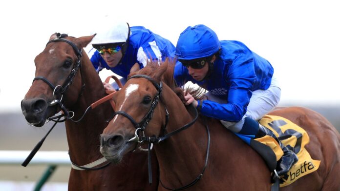 Global Storm battles with Zabeel Champion at Newmarket