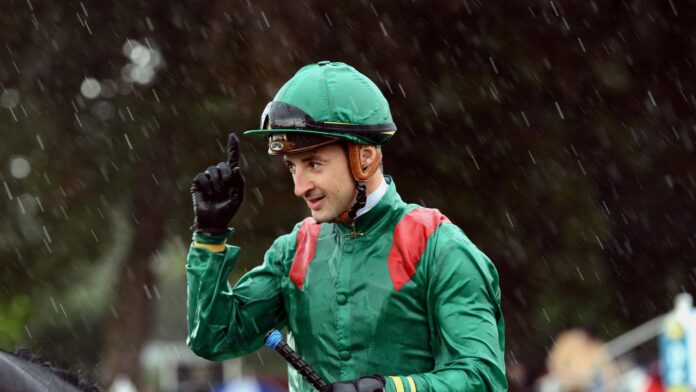 Le Maire expects a strong Japanese challenge in the Dubai World Cup

