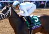 Irad Ortiz Jr. rides Life is Good to victory in the Breeders' Cup Dirt Mile