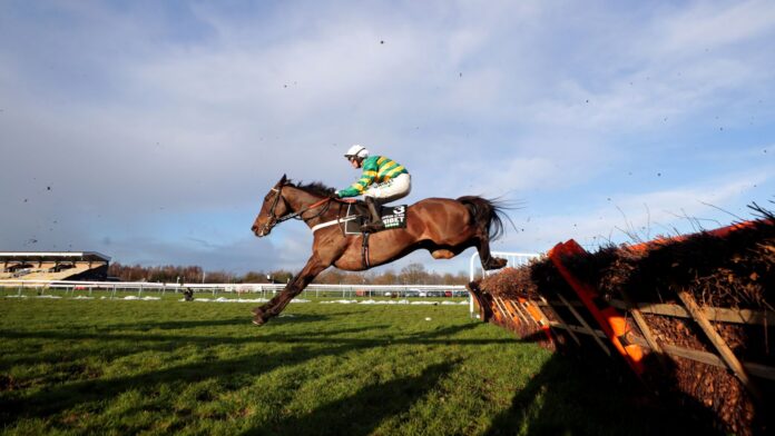 Buveur D&#39;Air looks set to return to action in the Morebattle Hurdle at Kelso in March.