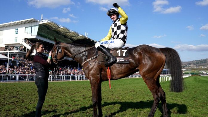 The Nice Guy and Sean O&#39;Keeffe celebrate winning the Albert Bartlett Novices&#39; Hurdle during day four of the Cheltenham Festival at Cheltenham Racecourse. Picture date: Friday March 18, 2023.