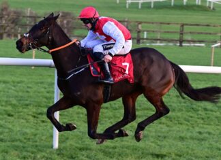 Nolan guidelines out Cheltenham Pageant by Sandor Clegane Sandor Clegane and Barry O'Neill winning for trainer Paul Nolan at Punchestown.