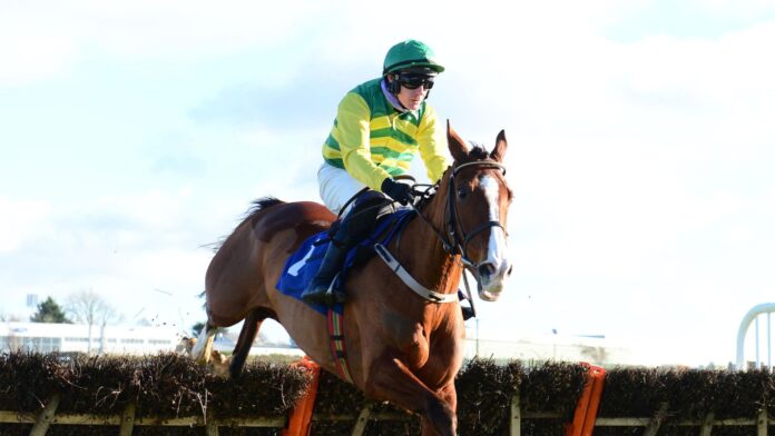 Adamantly Chosen and Paul Townend jump the last to win the Thurles Maiden Hurdle