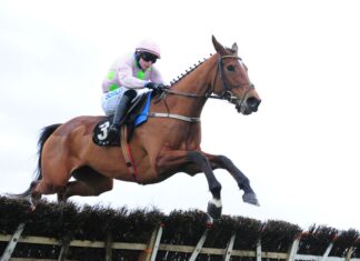 Allegorie De Vassy and Sean O'Keeffe win the BetVictor Solerina Mares Novice Hurdle at Fairyhouse