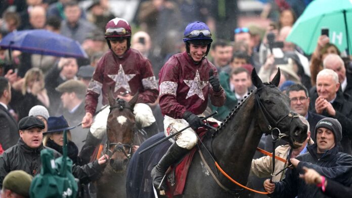 Delta Work and Tiger Roll are led into the Cheltenham winner&#39;s enclosure together