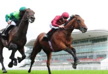 Buckaroo and Declan McDonogh (right) beats Stone Age at Galway