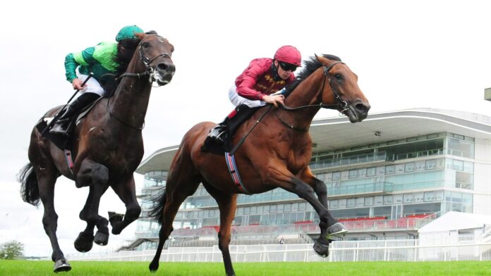 Buckaroo and Declan McDonogh (right) beats Stone Age at Galway