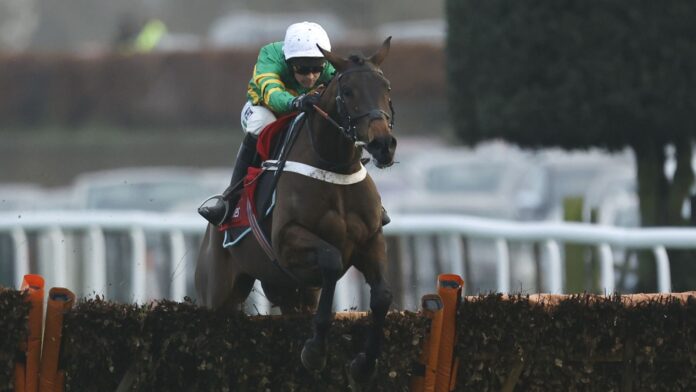Epatante impressed with her slick jumping as she won the 2023 Christmas Hurdle at Kempton