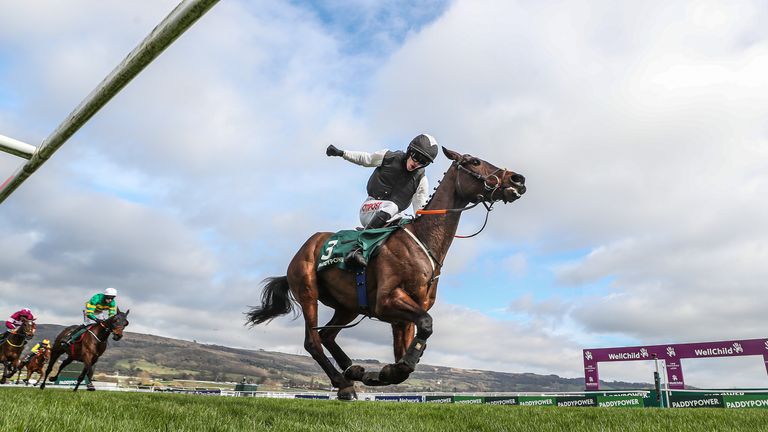 flooring porter wins 'survival'  Obstacle for Danny Mullins