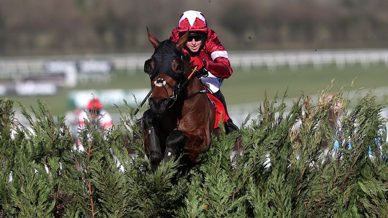 Six horses previously trained by Elliott have won this year's Cheltenham Festival, including the two-time winner Tiger Roll.