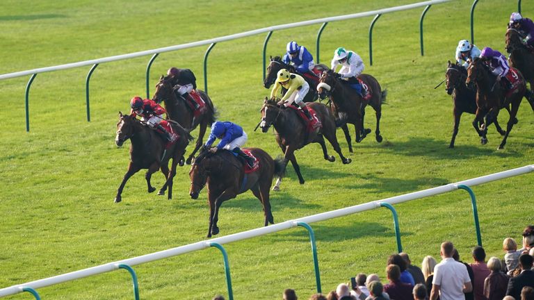 Coroebus runs away from Imperial Fighter and Dubai Poet to win at Newmarket in October
