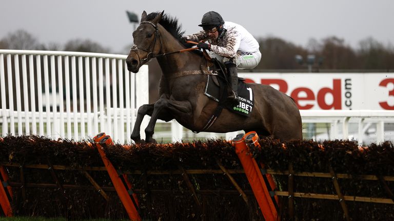 Constitution plateau as short as 2/1 for senior beginners'  Hurdle after the victory of the Tolworth Hurdle