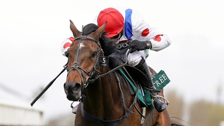 Proktektorat on track to win at Aintree in April