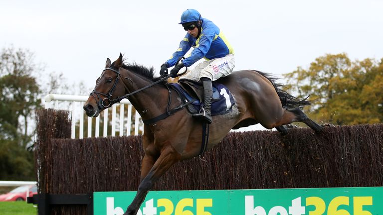 Shan Bleu running in Wetherby