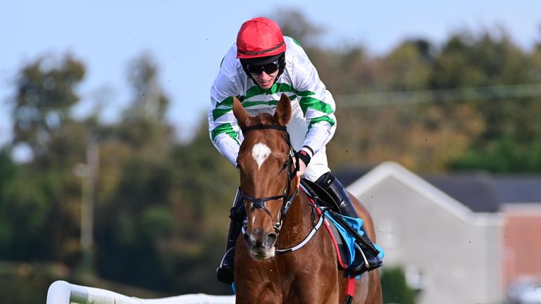 Zanahiyr ran out the awesome winner of the WKD Hurdle at Dawn Royale last month