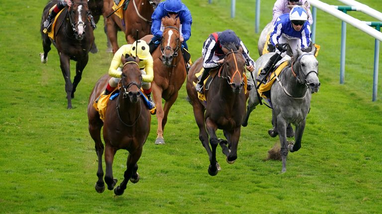 Emirati Ana wins the Betfair Sprint Cup