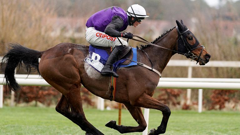 Minella Cocooner dazzles in Leopardstown