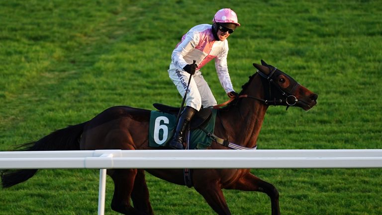 Mullenbeg qualified by Mitchell Bastian wins at Cheltenham