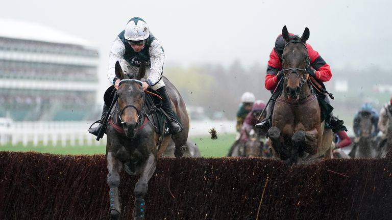 Ahoy Senor (right) goes after Brown Advisory Novices' Company.  Winner of Chase L & # 39;  Home Presse