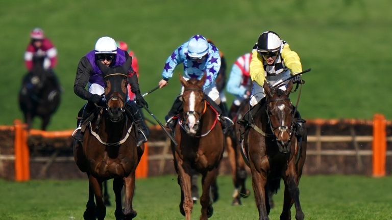 Bardenstown Lad (blue hat) haunts Albert Bartlett's home in second foreground The Nice Guy (right) and Minella Cocooner