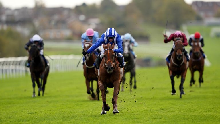 Aldari and Jim Crowley beat Leicester in October last year