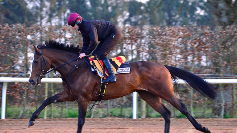 Bluegrass working on galloping at home for trainer Aidan O'  Brien