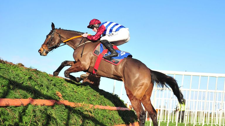 Escaria Ten finished third in the National Hunt Chase at Cheltenham Festival last year