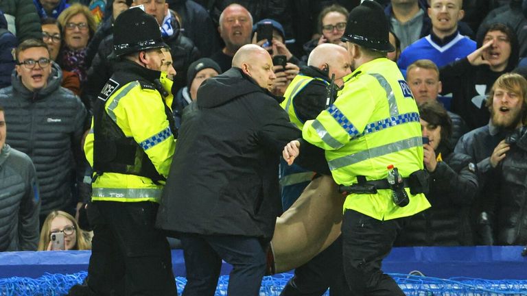 Everton fan