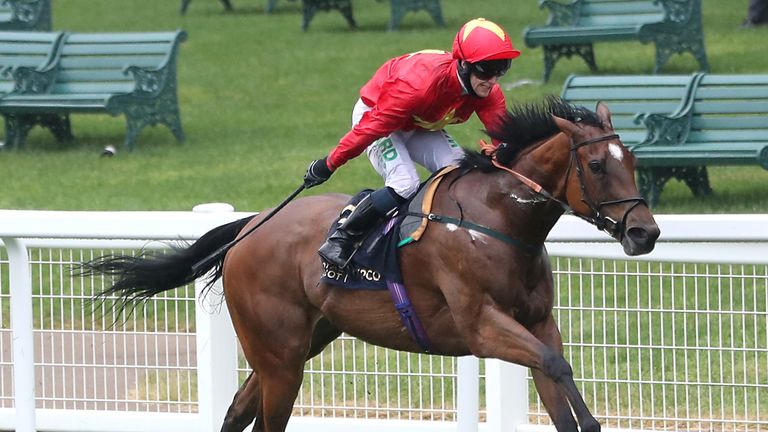 Highfield Princess wins Buckingham Palace Grand Prix at Royal Ascot