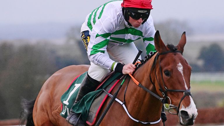 American Mike and Jimmy Codd win the Future Champions race in Navan