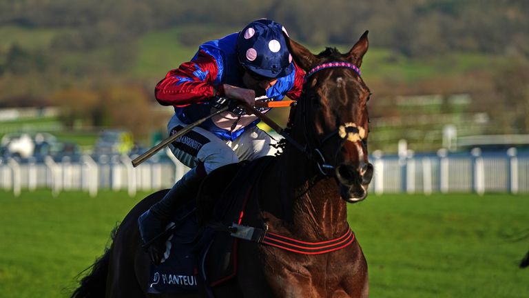 Paisley Park produced a stunning performance to win the third Cleeve Hurdle