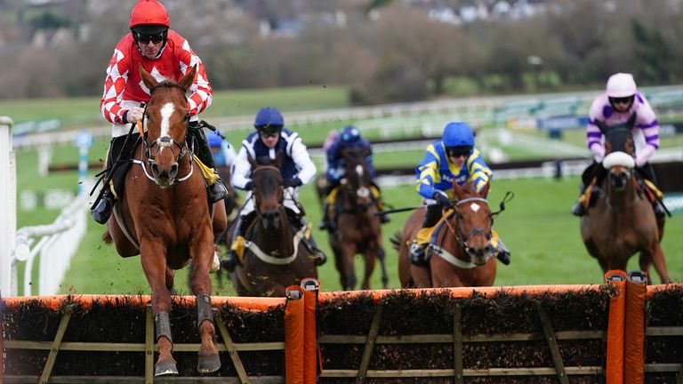 Piper leaves his rivals far behind in the victory trial at Cheltenham