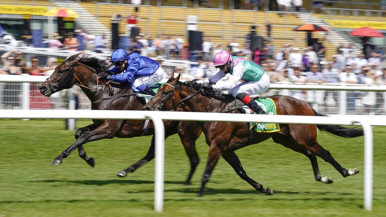 The Real World defeated Dirab at the Bet365 Stakes in Newbury in July
