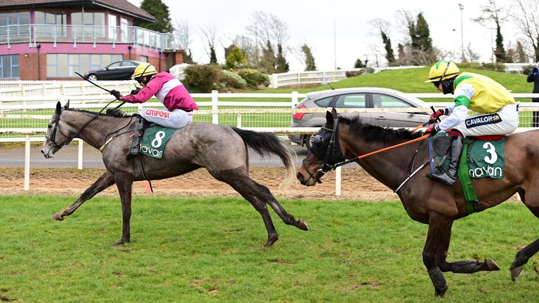 Stormy Judge and Danny Mullins win the Class B hurdles final for Irish horse farm EBF in Navan