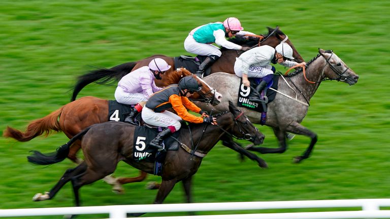 Tempus (the far side) continues to win at Newbury in August 2020
