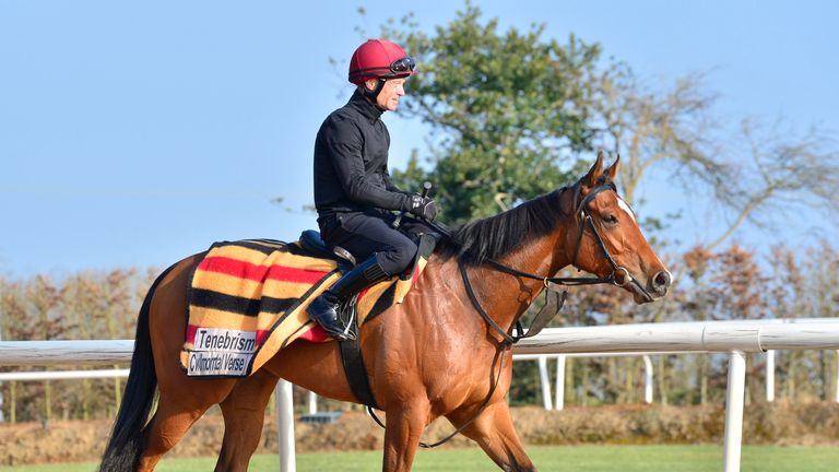 Tenebrism will head straight to the Newmarket for 1000 guineas