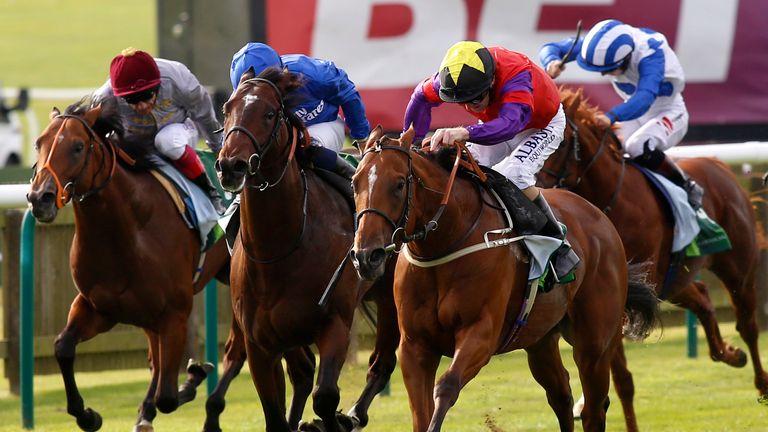 The Last Lion (Yellow Star) won the 2016 Middle Park Stakes at Newmarket