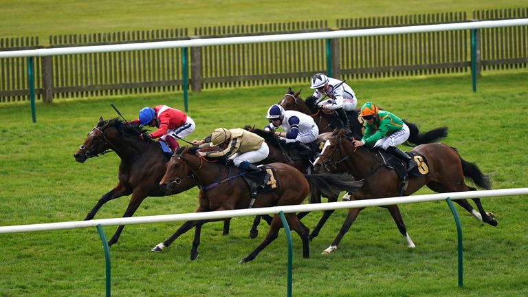 Tuscan (near the side, in gold) bypasses the audience favorite in Newmarket 
