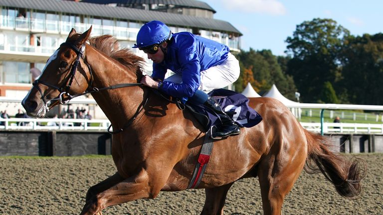 Knight of the Year William Buick rode Modern News to his last two victories at Doncaster and Lingfield
